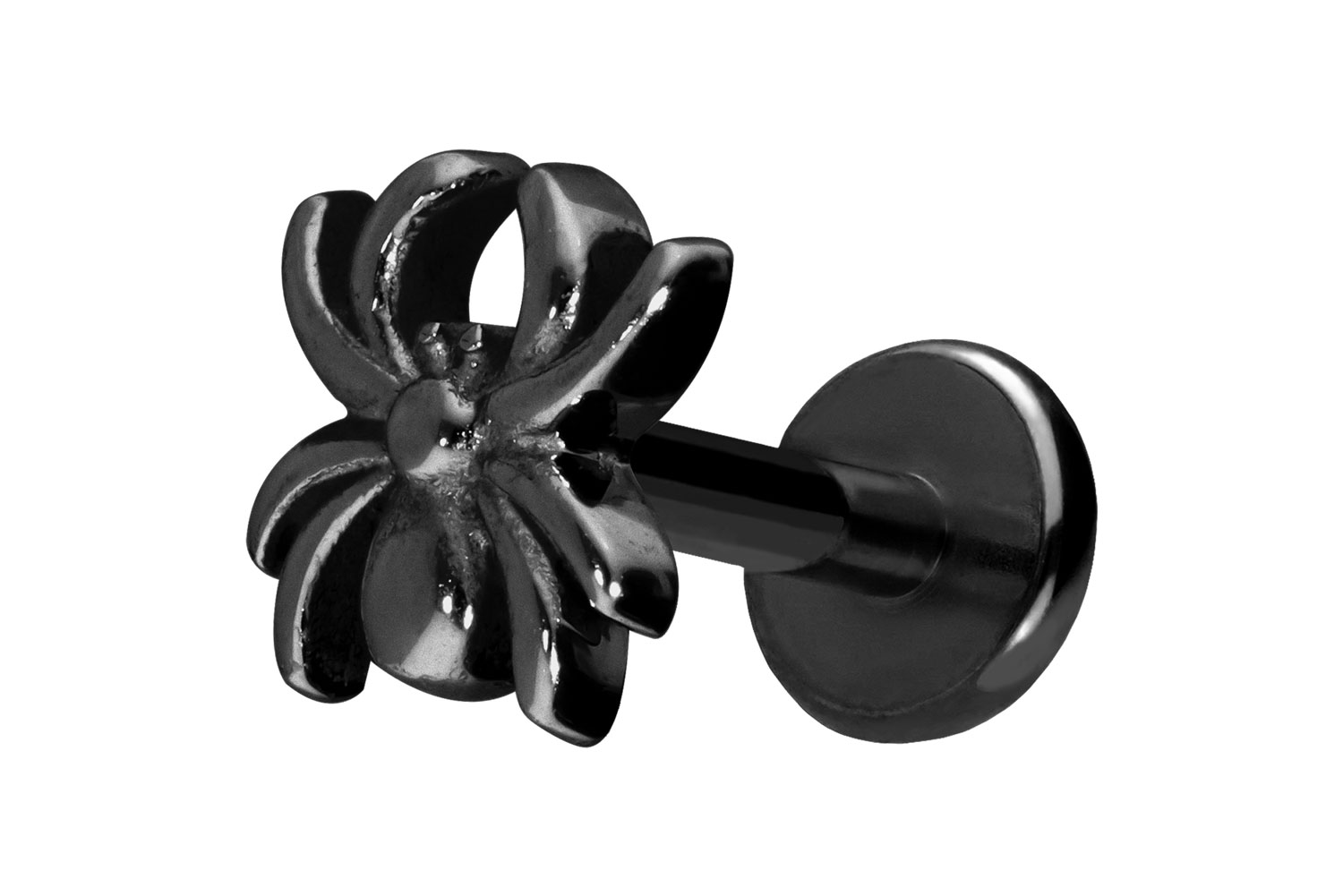 Titan Labret Piercing mit Push Fit SPINNE